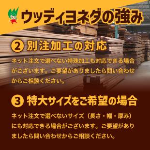 イエローポプラ(チューリップウッド)