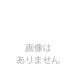 天然木マルチカラーウッド 18xФ300 (mm)